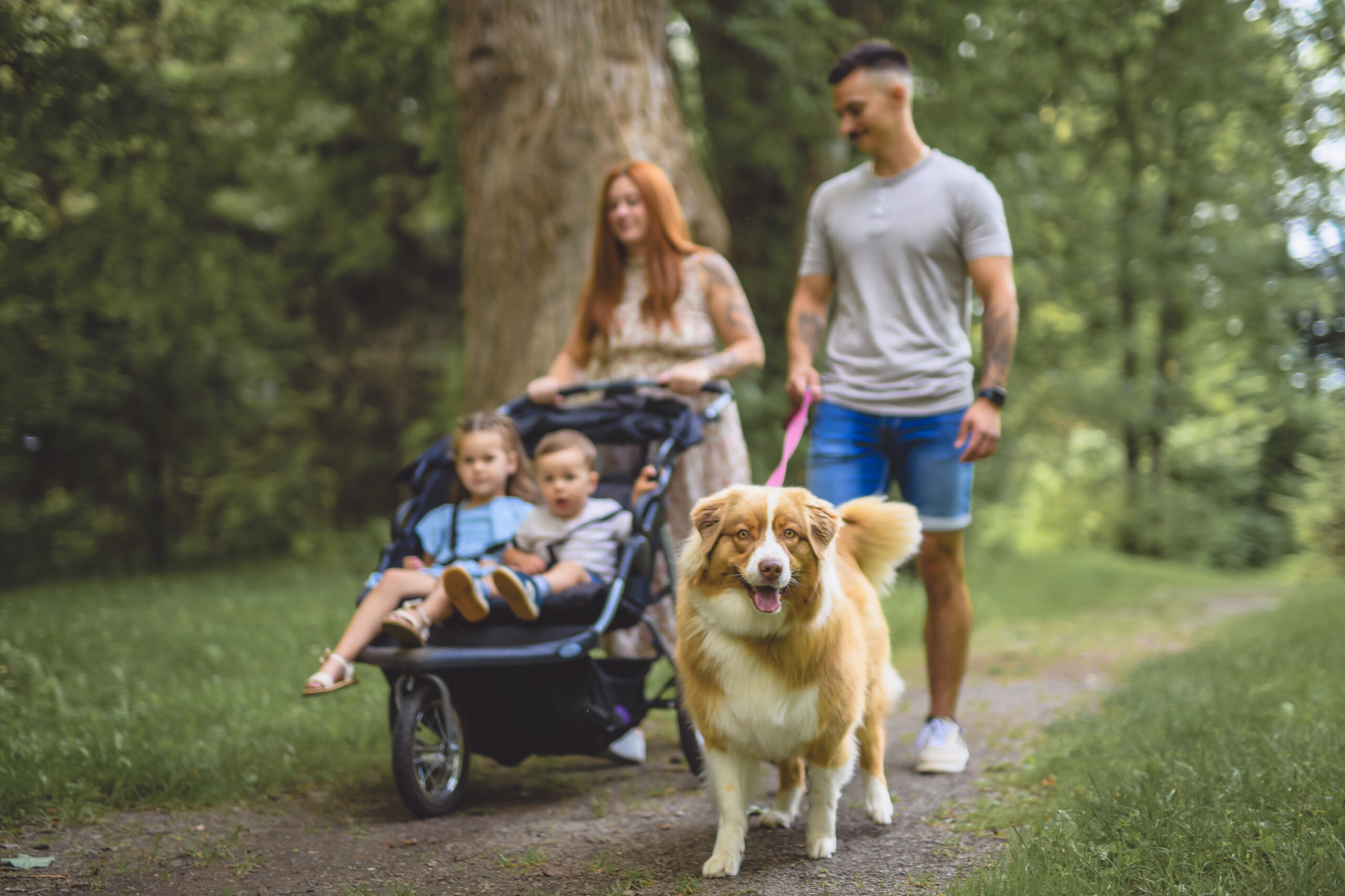 What Belongs in a Modern New Home Community?